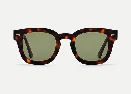 Dark Turtle – AHLEM