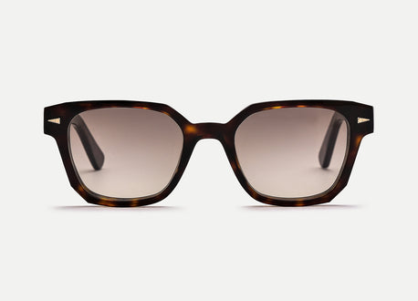 Dark Turtle – AHLEM